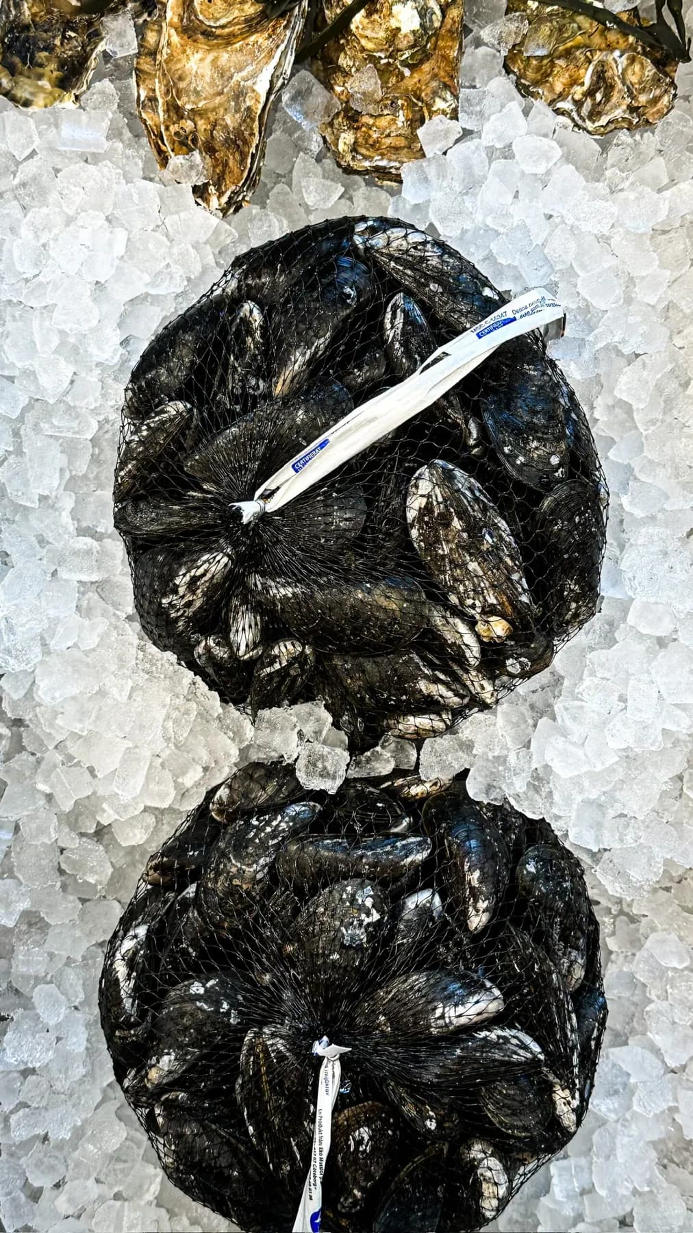 Blåmusslor