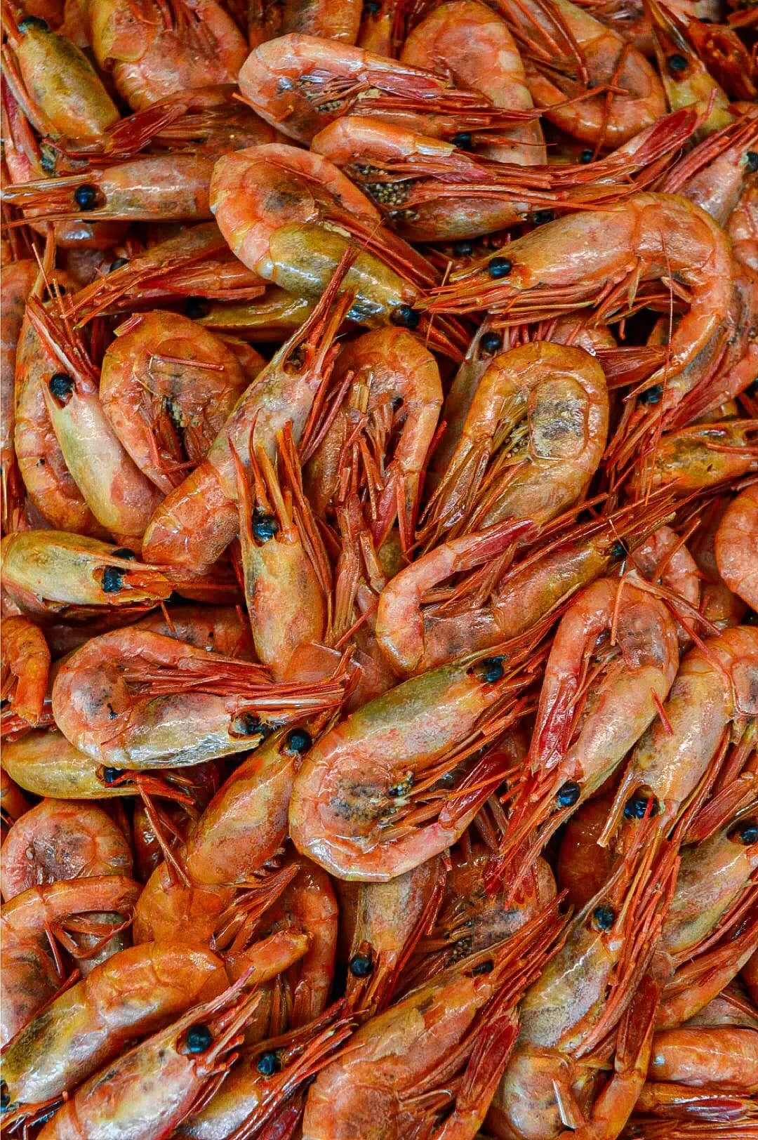 Shrimp buffet