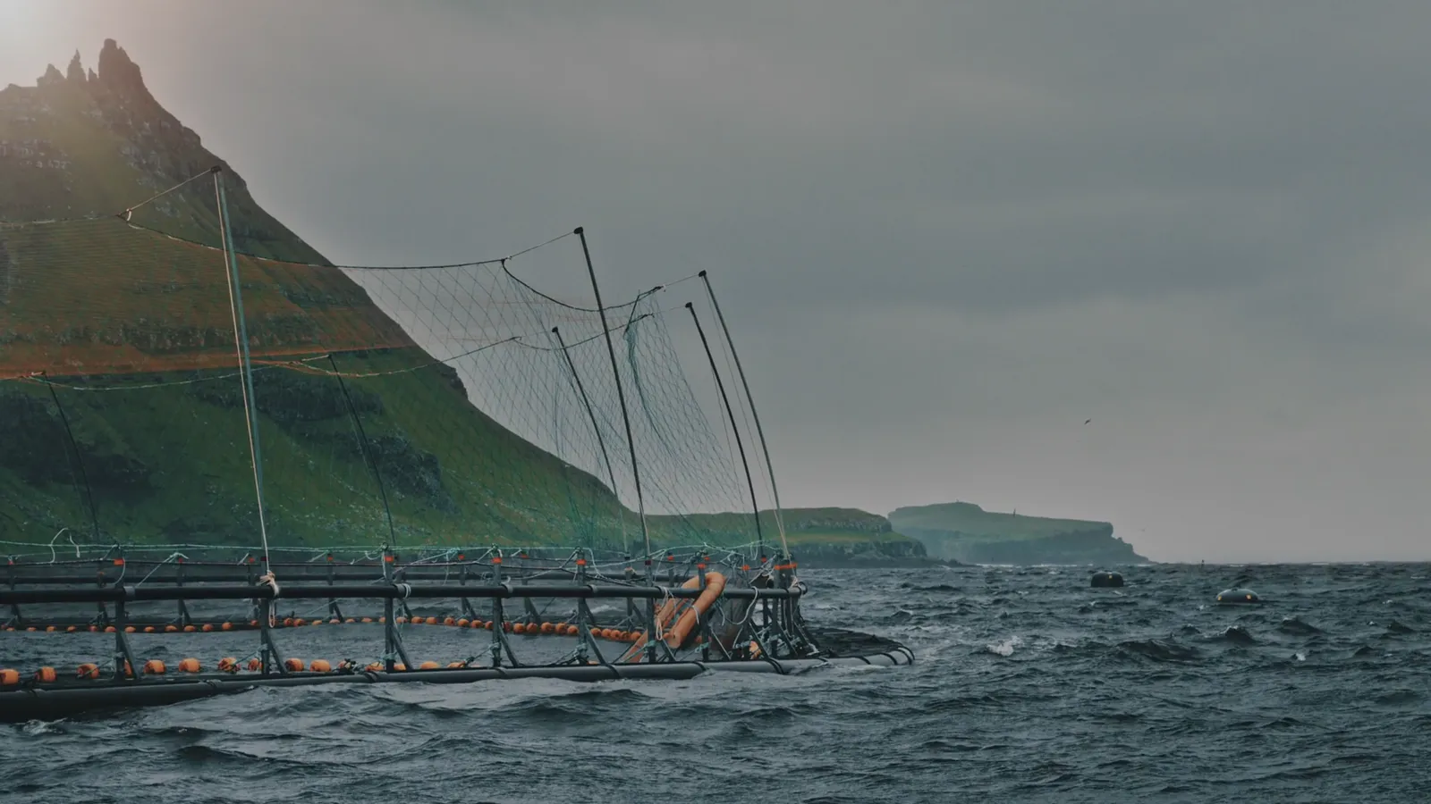 Laxkassar i öppet hav nedanför gröna klippor på Färöarna — stillbild ur Hiddenfjords film
